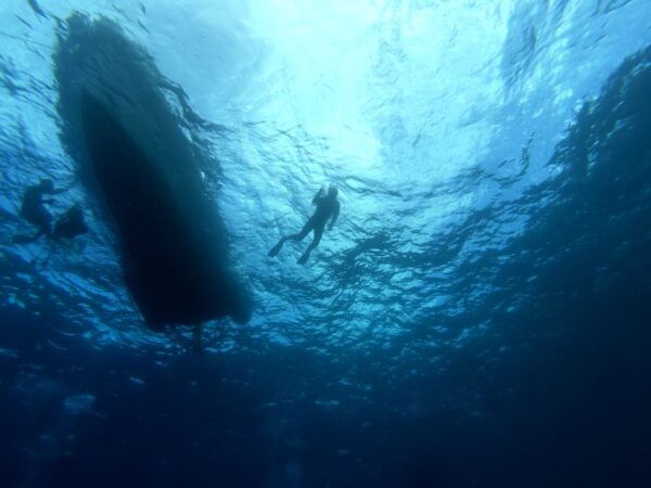 Tenerife: Underwater Lava Tongues Snorkel Excursion - Frequently Asked Questions