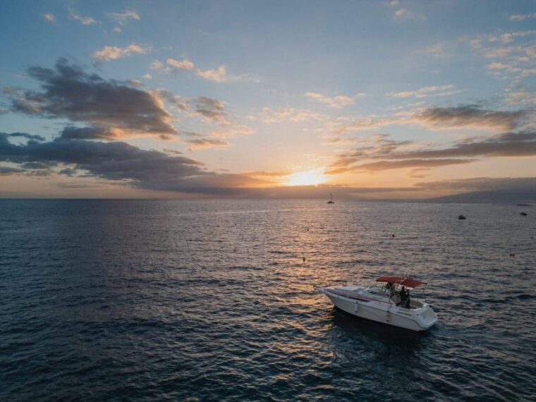 Tenerife: VIP 3 Hour Private Luxury Boat Charter Experience - Discovering Marine Life and Snorkeling Opportunities