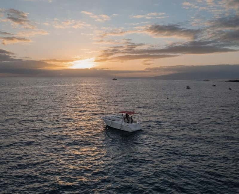 Tenerife: VIP Private Luxury 2 Hour Sunset Boat Charter - Real Experiences and Authentic Feedback
