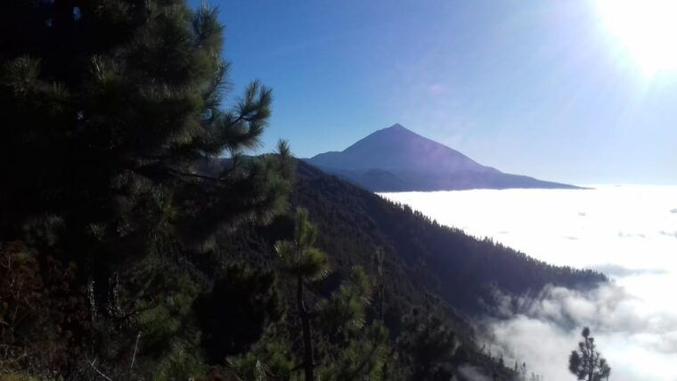 Tenerife: Wellness Experience With Psychology and Mindfulness Practices - Suggested Practices