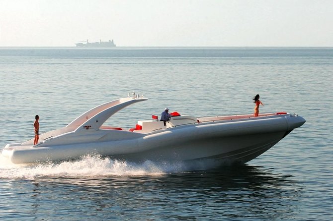 Tenerife Whale- and Dolphin-Watching Boat and Swimming Tour - Overview and Experience