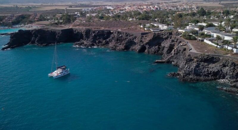 Tenerife: Whale and Dolphin Watching Boat Tour - Good To Know