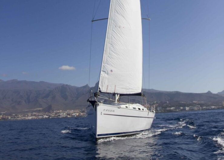 Tenerife: Whale and Dolphin Watching Tour by Sailboat - Tour Details