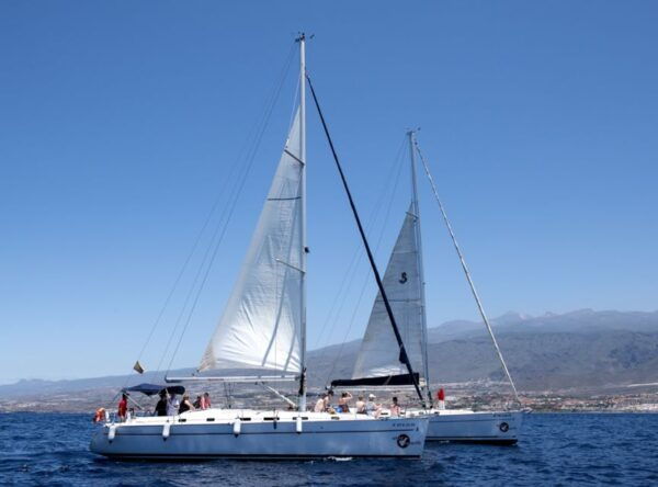 Tenerife: Whale and Dolphin Watching Tour by Sailboat - Frequently Asked Questions
