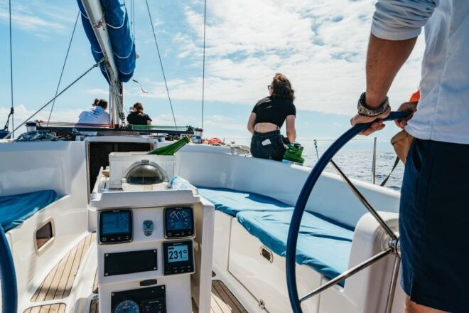 Tenerife: Whale & Dolphin Watching With Drinks and Snacks - Live Tour Guide