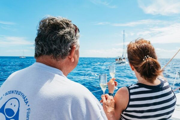 Tenerife: Whale & Dolphin Watching With Drinks and Snacks - Directions