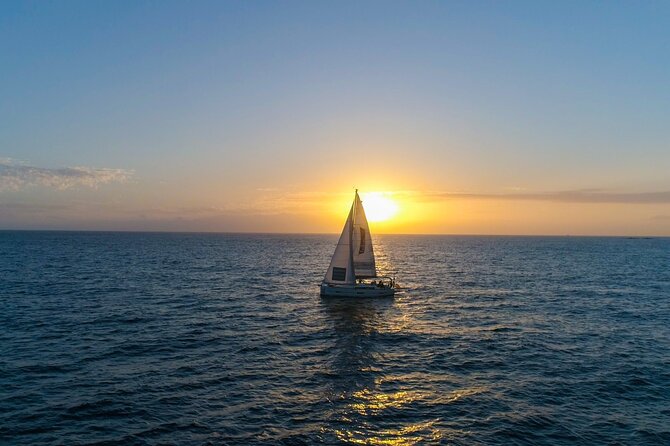 Tenerife Whale Watching and Snorkeling Private Yacht Trip - Whale Watching Experience