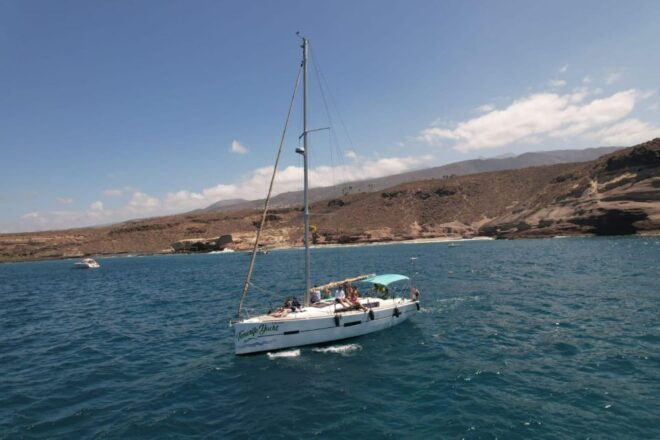 Tenerife: Whale Watching and Snorkeling Yacht Trip - Important Information