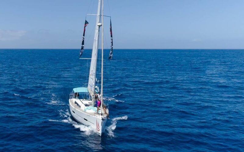 Tenerife Whale Watching and Snorkeling Yacht Trip - Activity Overview
