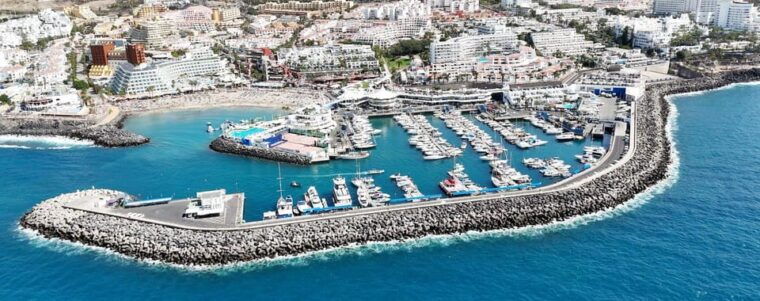 Tenerife Whale Watching and Snorkeling Yacht Trip - Participant Restrictions
