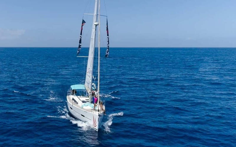 Tenerife Whale Watching and Snorkeling Yacht Trip - What You Can Expect from This Tenerife Yacht Trip