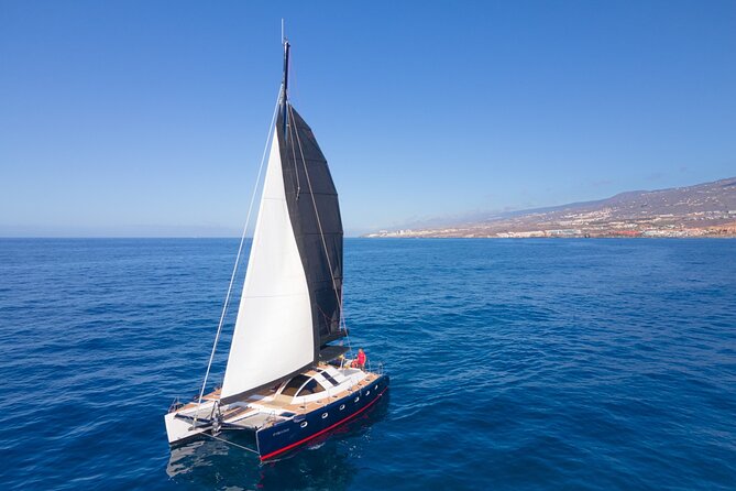 Tenerife Whale Watching on Private Charter - Tips for a Successful Whale Watching Experience