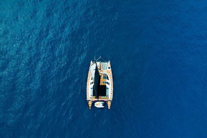 Tenerife Whale Watching on Private Charter - The Sum Up