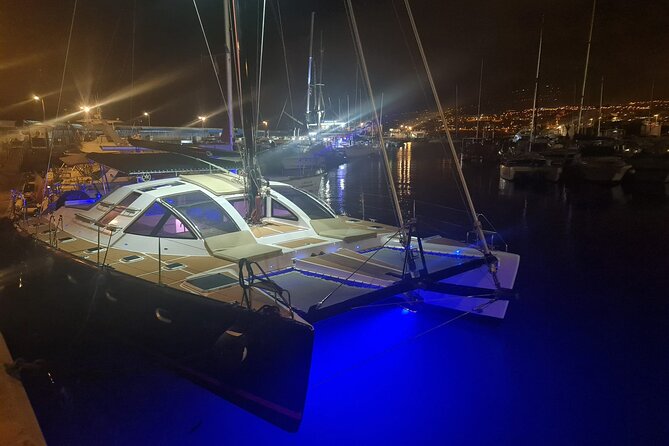 Tenerife Whales and Dolphins Watching Experience in Catamaran - Overview of the Experience