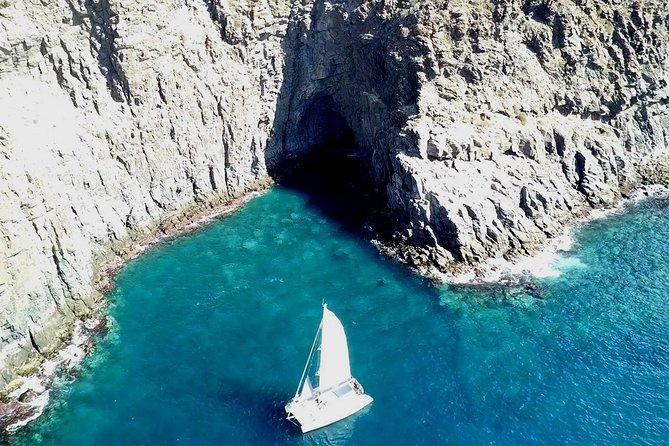 Tenerife Whales and Dolphins Watching Experience in Catamaran - What To Expect During the Tour