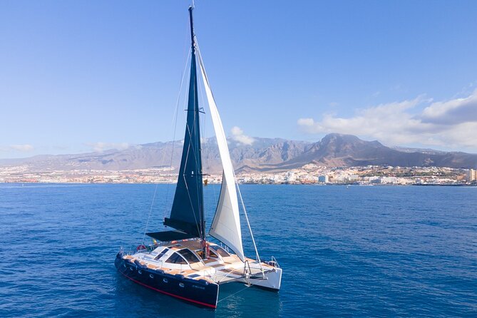Tenerife Whales and Dolphins Watching Experience in Catamaran - Additional Information for Participants