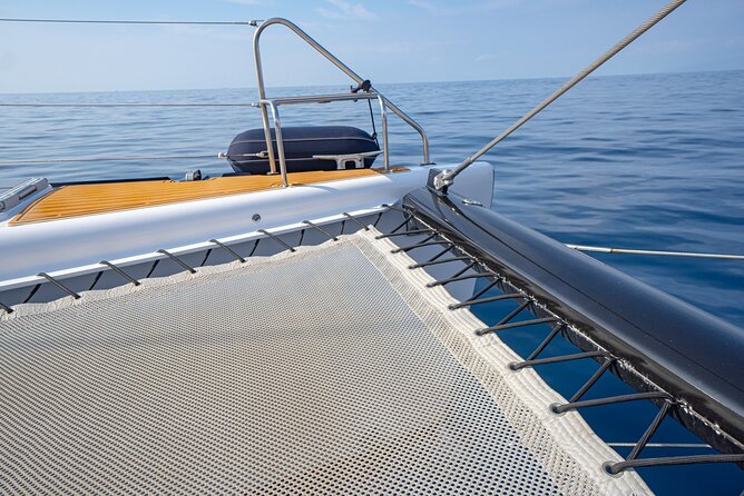 Tenerife Whales and Dolphins Watching Experience in Catamaran - Cancellation Policy and Booking Details