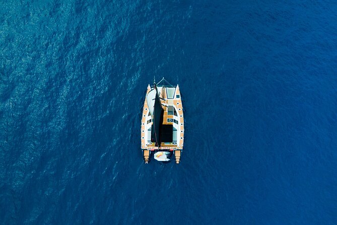 Tenerife Whales and Dolphins Watching Experience in Catamaran - Frequently Asked Questions