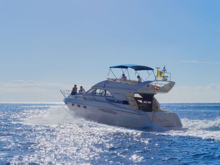 Tenerife: Whales and Snorkeling Tour on a Luxury Yacht - Booking and Reservation Details