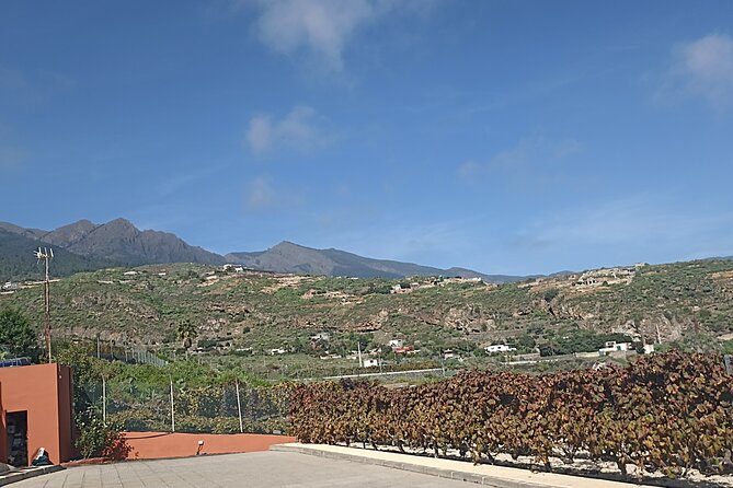 Tenerife Wine Tasting Private Tour - The Sum Up