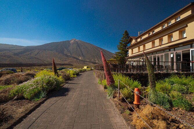 Tenerife Wonder Walk - Final Thoughts