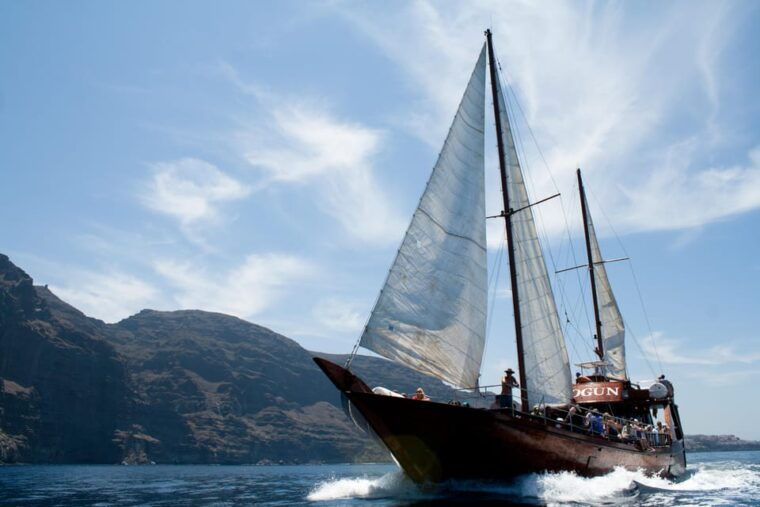 Tenerife:Respectful Whale Watching, Pirate Ship, & Swim - Onboard Amenities for Maximum Comfort