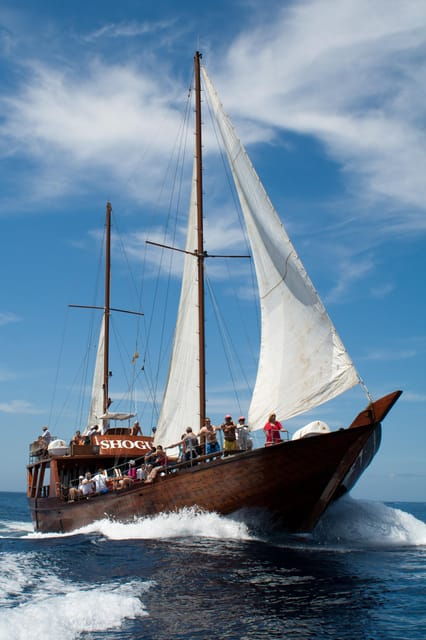 Tenerife:Respectful Whale Watching, Pirate Ship, & Swim - Catering to a Wide Range of Travelers