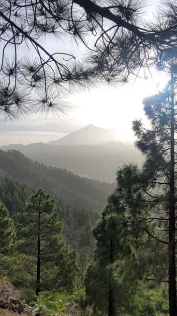 Teno: Circular hike from Erjos over the mountain ridge with views of Masca - FAQs