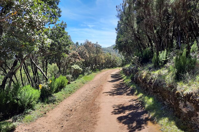 Teno Rural Park Private Hiking Tour - Tenerife - Reviews