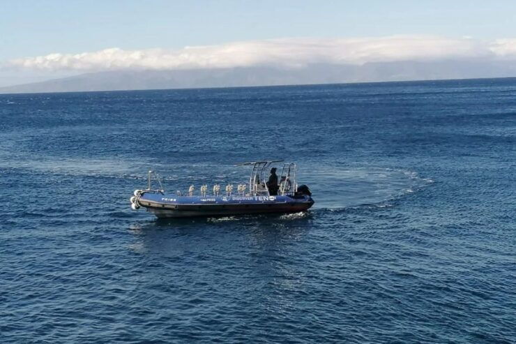 Teno to Masca: Boat Trip With Snorkeling & Drinks - Good To Know