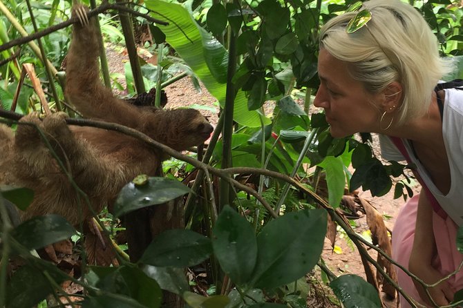 Tenorio Rain Forest Hanging Bridges & Sloth Encounter - Booking Information