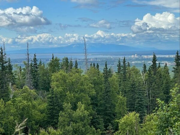 Tent City Anchorage and Wonderful Surroundings - Guided Tour and Photo Stops