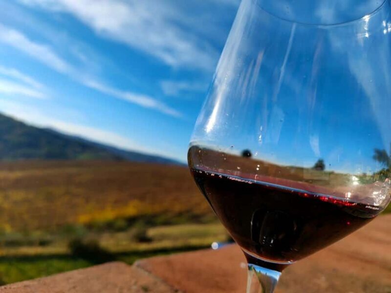 Tenuta Bonzara - Tour and wine tasting in the hills of Bologna - Value and Practical Considerations