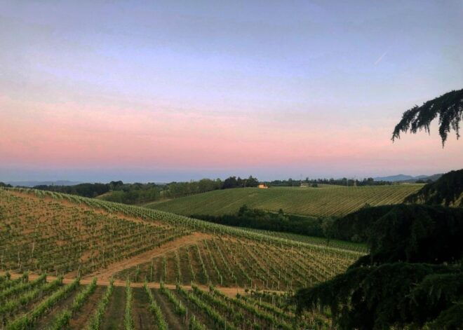Tenuta San Lorenzo: Classic Wine Tasting and Winery Tour - Activity Details