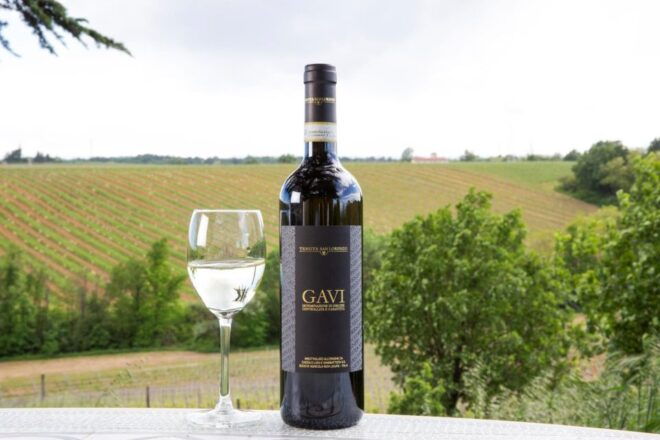 Tenuta San Lorenzo: Wine & Food Tasting Experience - Itinerary Overview