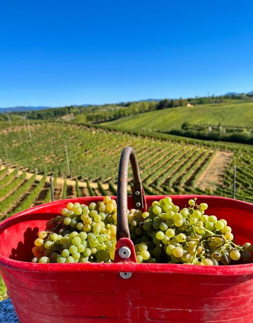 Tenuta San Lorenzo: Wine Tasting and Winery Tour - Inclusions
