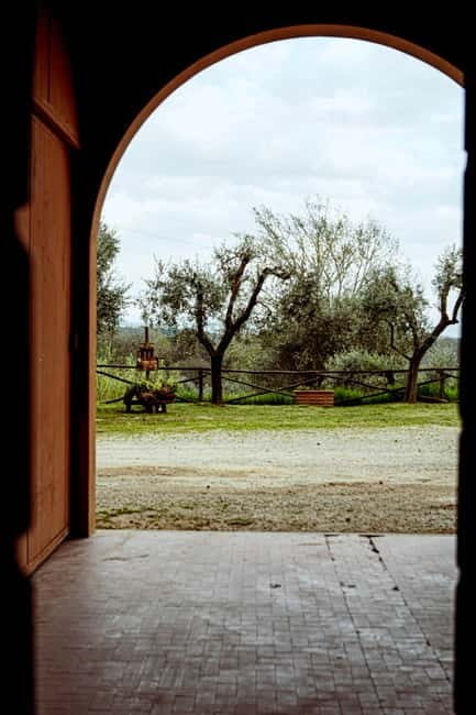 Tenuta San Vito: Organic Wine Tasting with Tuscan Cold Cuts - Good To Know