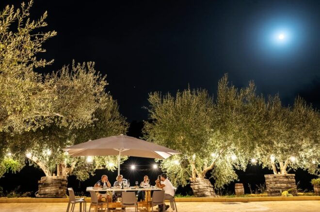 Tenuta Valle Delle Ferle: Wine & Food Tasting in Caltagirone - Insights Into Organic Viticulture