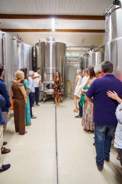 Tenuta Valle Delle Ferle: Wine & Food Tasting in Caltagirone - Important Booking Information