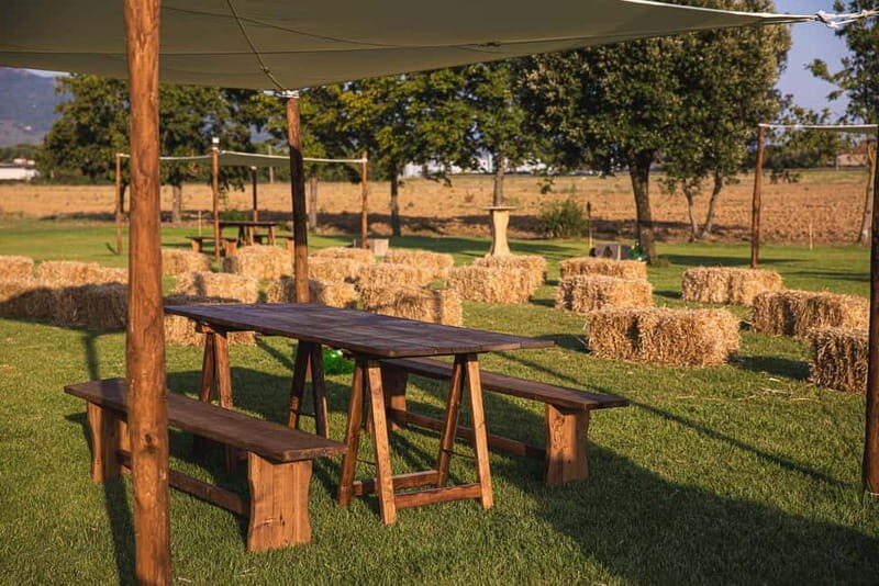 Tenute di Fraternita - Wine tasting in the Arezzo countryside - In-Depth Look at the Experience