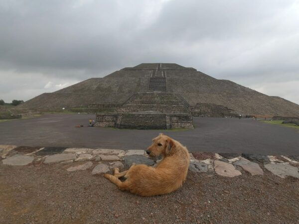 Teotihuacan Easy Trip Experience With Entrances Included - Tour Duration