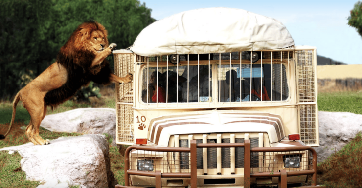 Teotihuacan: Entrance to Animal Kingdom Park; Adventure & Nature - Good To Know