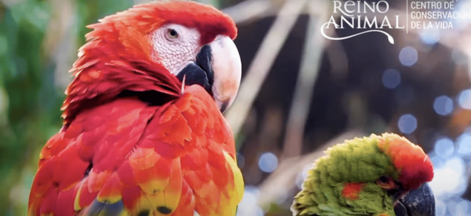 Teotihuacan: Entrance to Animal Kingdom Park; Adventure & Nature - Dedicated Jaguar Refuge