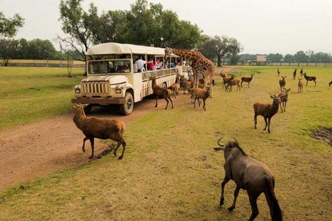 Teotihuacan: Entrance to Animal Kingdom Park; Adventure & Nature - Caring for Birds of Prey