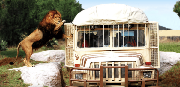 Teotihuacan: Entrance to Animal Kingdom Park; Adventure & Nature - Visitor Services and Regulations