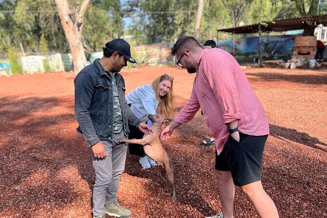 Teotihuacan Exclusive Cueva Tour and Breakfast - A Deep Dive into the Experience