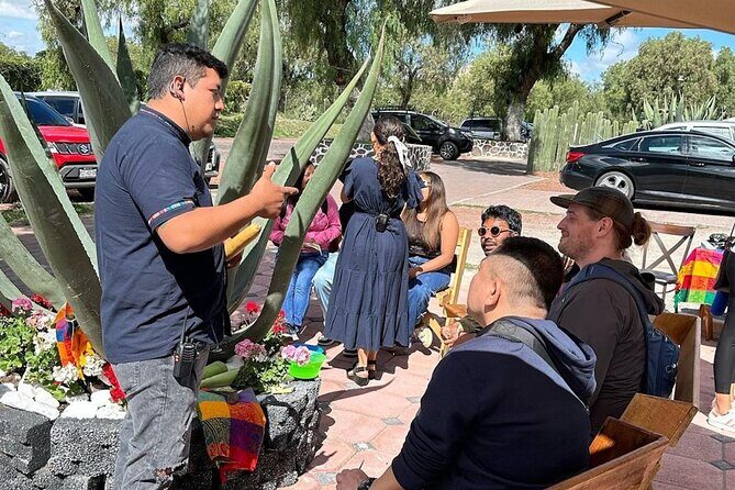 Teotihuacan Express with pick-up in Mexico City - Why This Tour Delivers Value