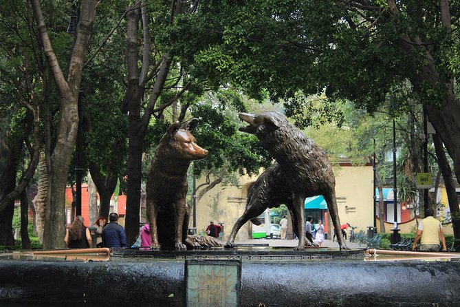 Teotihuacan & Guadalupe Shrine Xochimilco, Coyoacán & Frida Kahlo Combo Tour - Traveler Tips and Recommendations