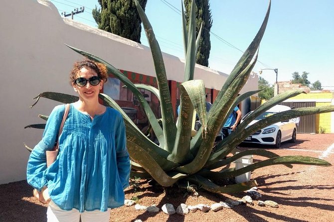 Teotihuacan Pyramids, Guadalupe, Tlatelolco: Private Day Tour - Mexico City - Additional Information