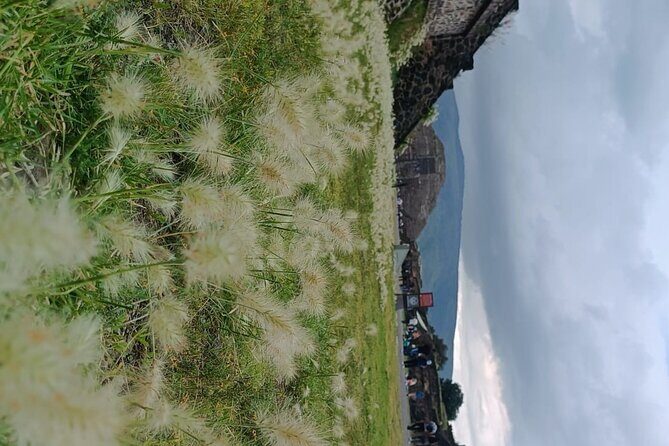 Teotihuacan Pyramids small groups and Basilica of Guadalupe - Good To Know